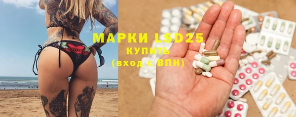 твердый Магас
