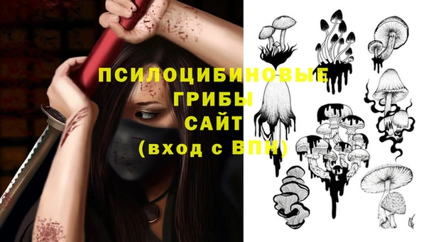 твердый Магас