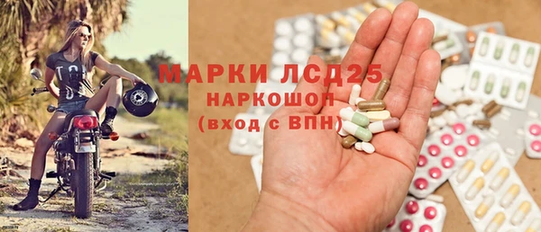 твердый Магас