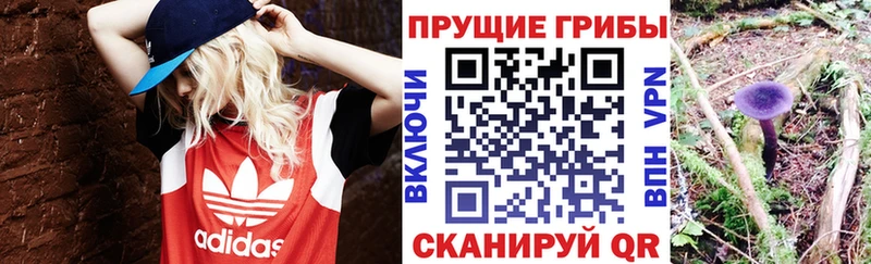 Псилоцибиновые грибы ЛСД  MEGA tor  Монино 